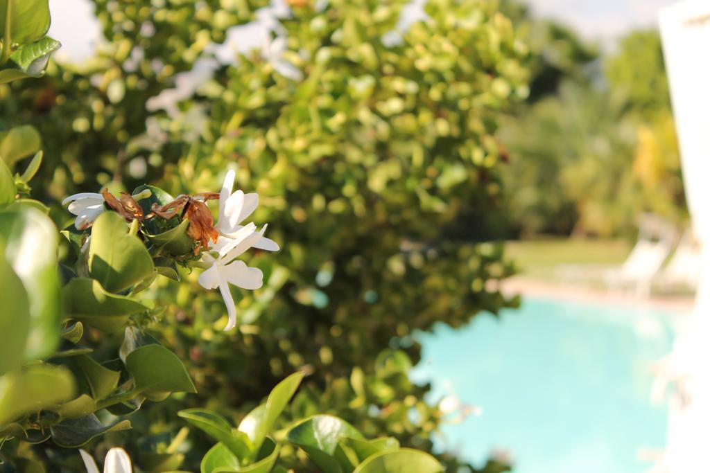 Valle Di Mare Country Resort Fontane Bianche Bagian luar foto